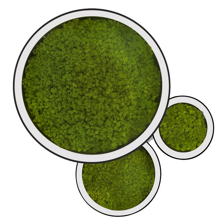 Featured Products Featured Products